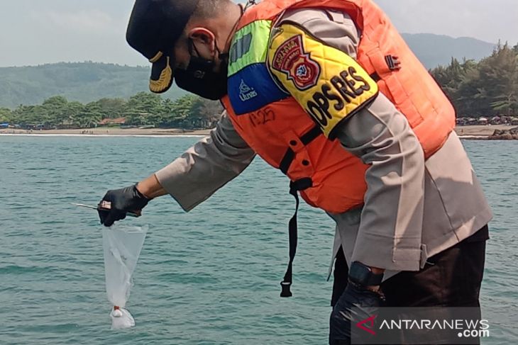 Polres Sukabumi lepasliaskan ribuan benur lobster hasil sitaan ke laut
