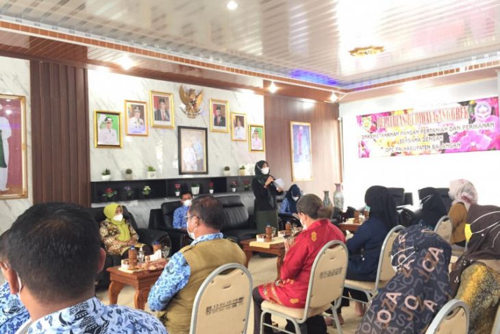 Anggrek Bulan lokal terus dikembangkan Pemkab dan DPC PAI