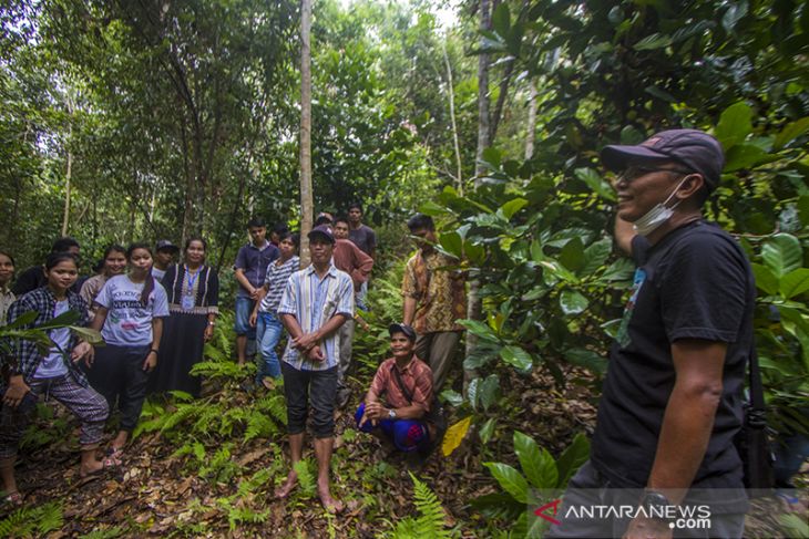 Edukasi Tentang Kopi