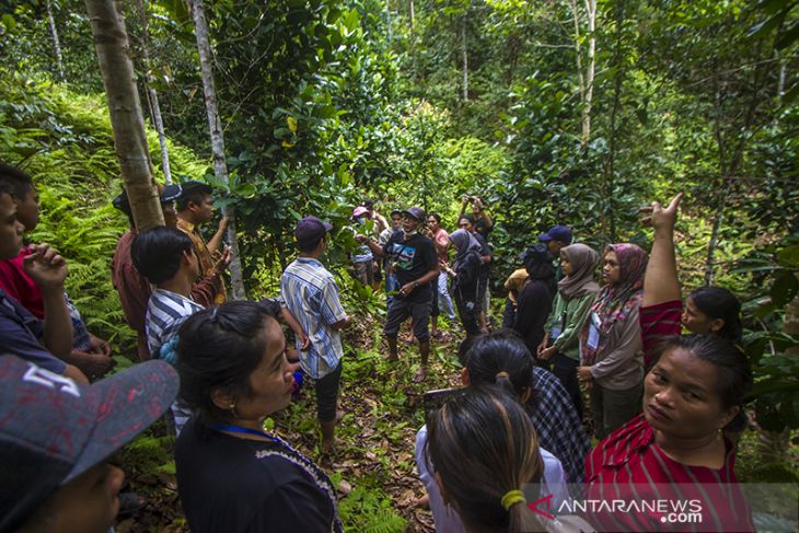 Edukasi Tentang Kopi