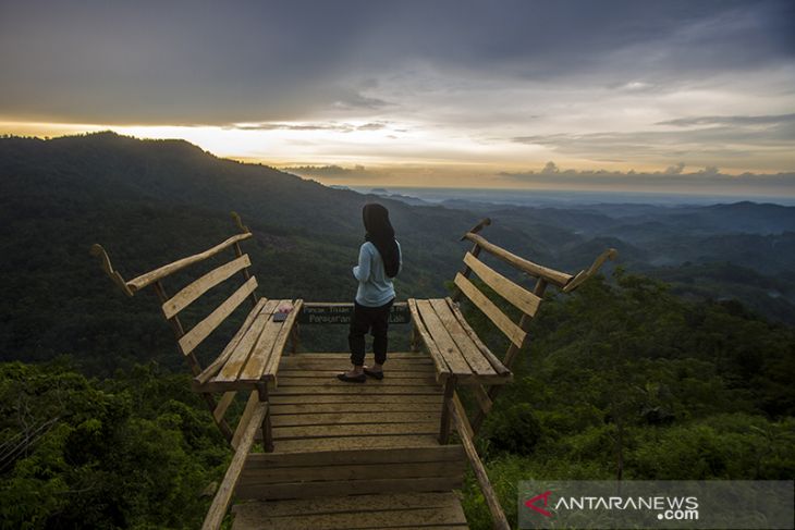 Wisata Alam Puncak Titian Musang