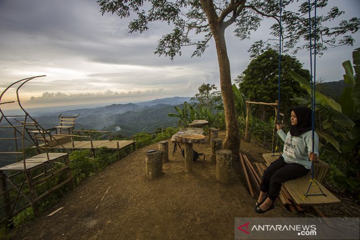 Wisata Alam Puncak Titian Musang