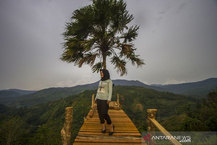 Wisata Alam Puncak Titian Musang