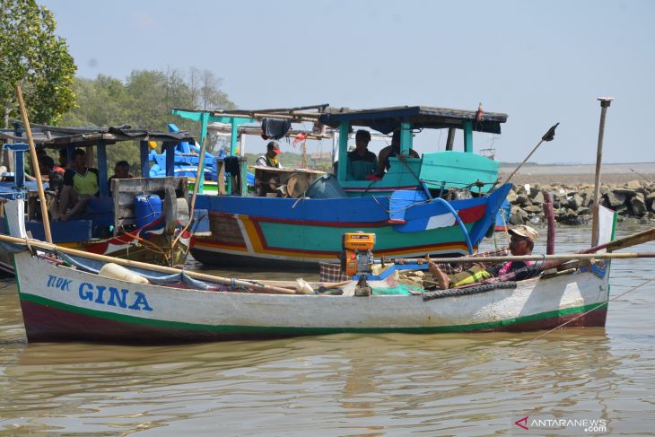 7800 Ikan Air Laut Karawang HD