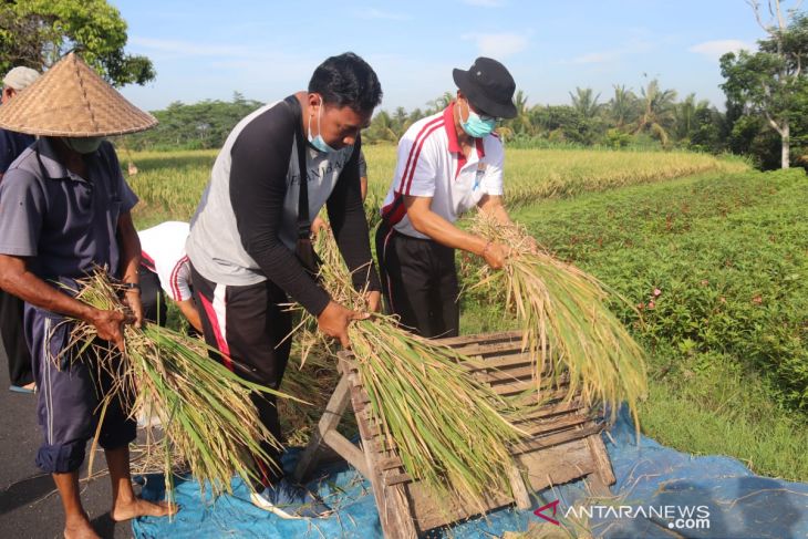Badung dorong petani gunakan pupuk organik