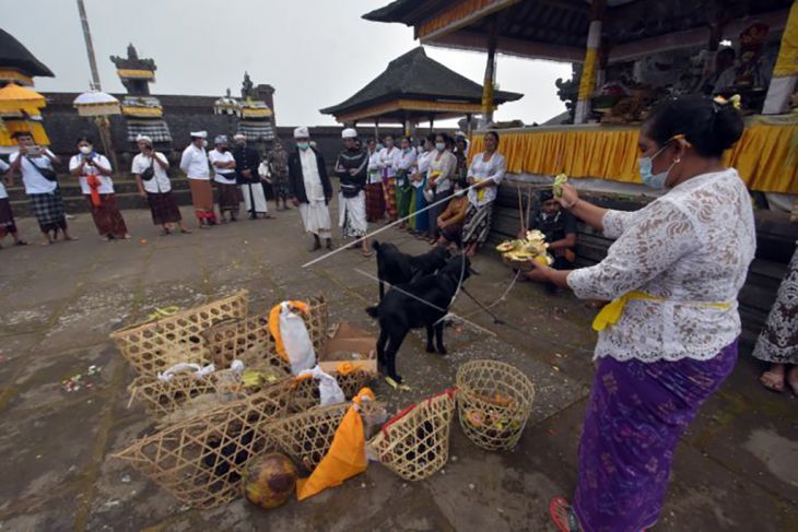 Upacara Mepepada Wewalungan di Pura Pasar Agung