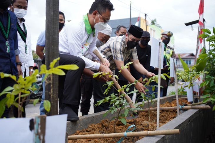 HMI tanam 250 pohon sambut Hari Jadi Kota Pontianak
