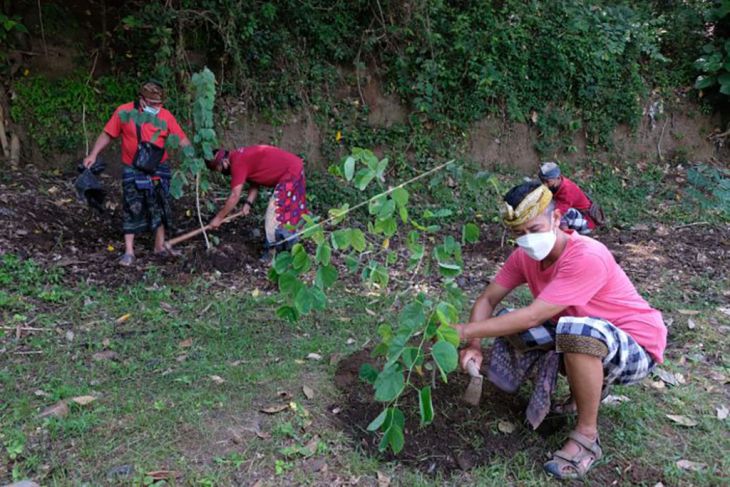 Gerakan menanam 10.000 pohon