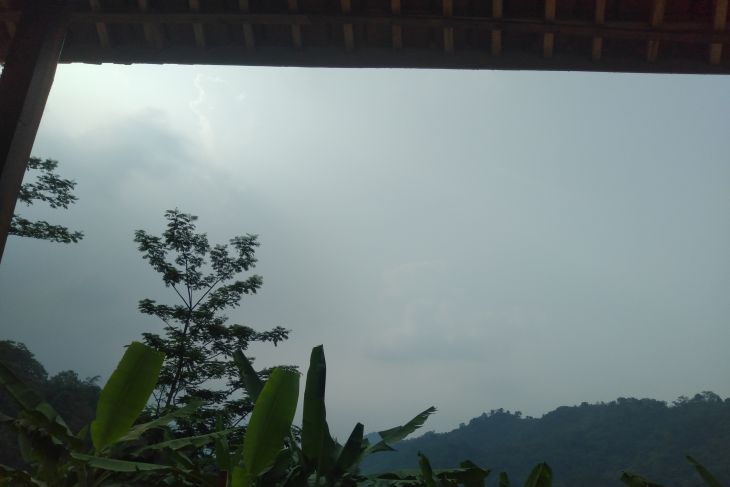 Pemkab Karawang ajak perusahaan ikut menanam pohon di sejumlah RTH
