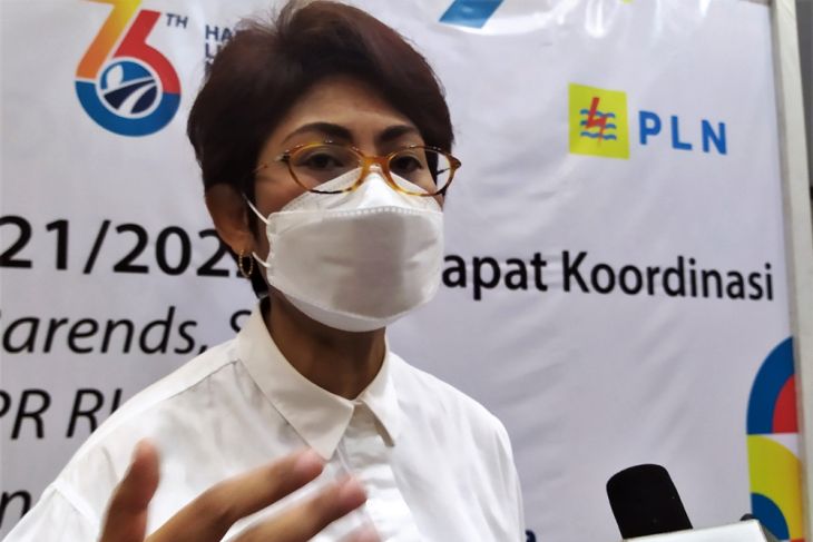 Mercy Barends Rasio elektrifikasi di Kepulauan Aru masih sangat rendah pertanyakan kinerja PLN