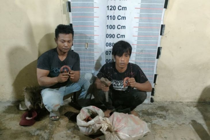 Polsek Pangkalan Brandan tangkap dua tersangka pencuri