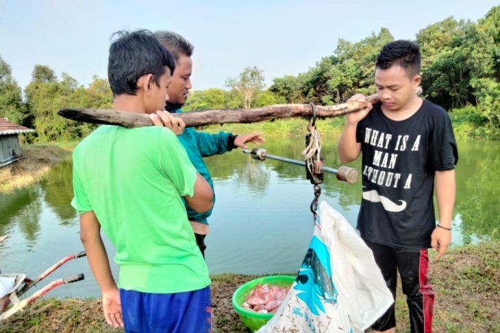 Kambitin Boarding School earns tens of million from tilapia cultivation