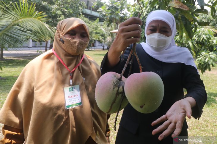 Gubernur Jatim Kunjungi Ponpes Lirboyo