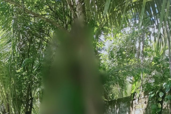 Polres Halut ungkap kasus bunuh diri pemuda karena motif cemburu