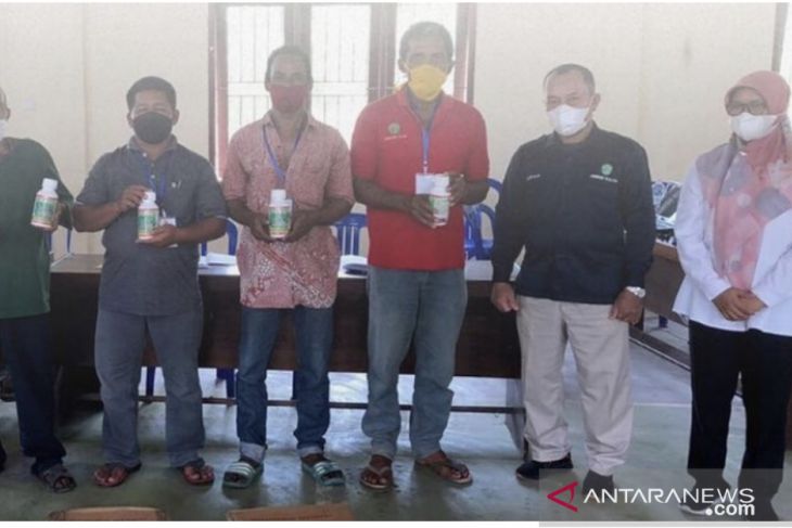 Empat poktan Berau terima bantuan pestisida Dirjen Perkebunan