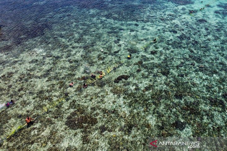 Festival Meti Kei wisatawan terpukau tradisi Wer Warat yang unik