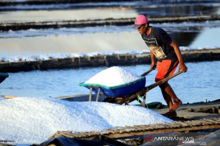 Stok garam lokal Karawang melimpah capai ribuan ton