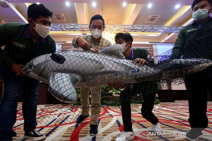 Pelatihan penanganan mamalia laut