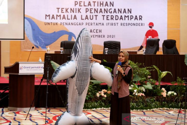 Pelatihan penanganan mamalia laut