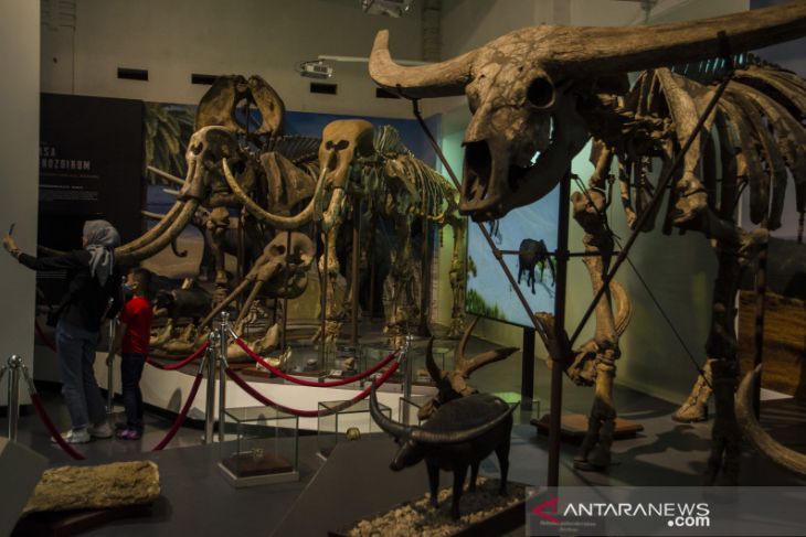 Museum Geologi Bandung kembali dibuka