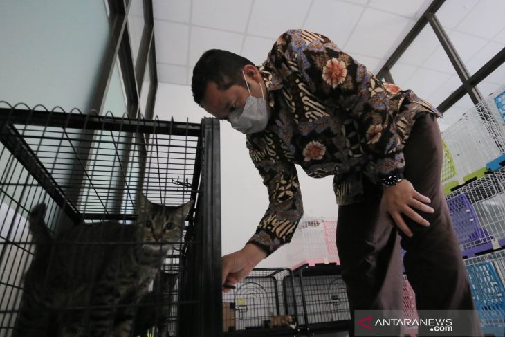 Pemkot Tangerang sediakan vaksin rabies gratis bagi 1.000 hewan
