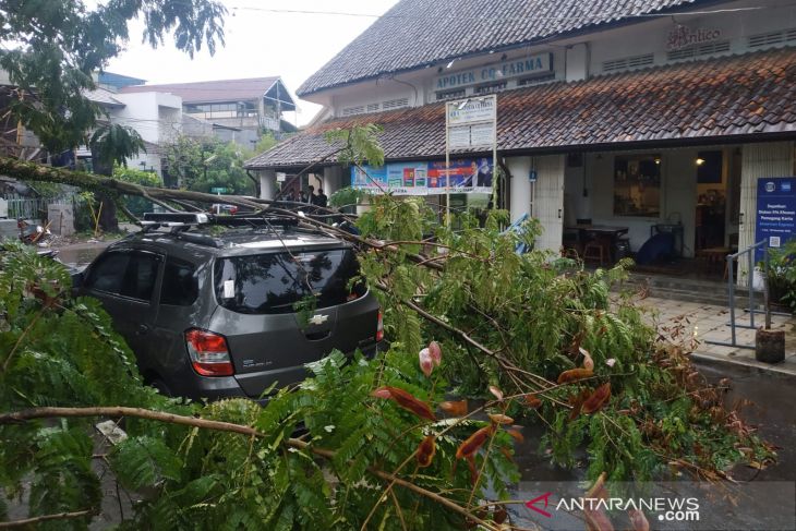 Angin kencang Bandung tumbangkan tujuh pohon dan timpa sebuah mobil