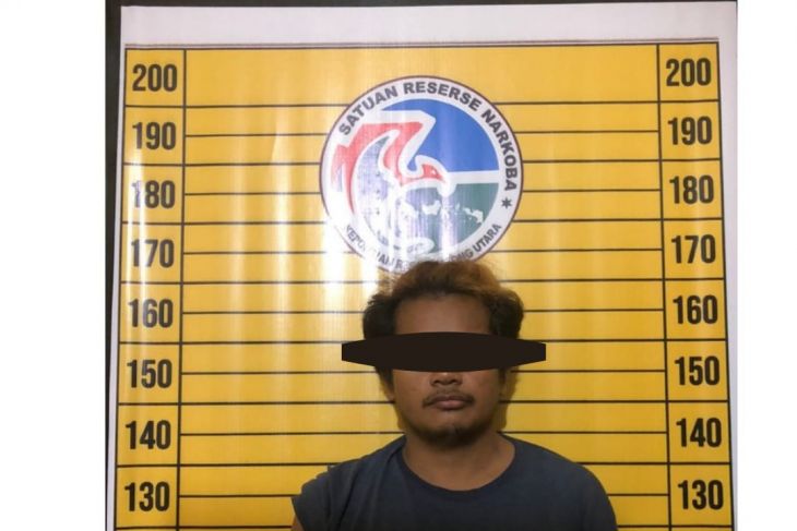 Satres Narkoba Polres Kayong Utara tangkap pemilik sabu