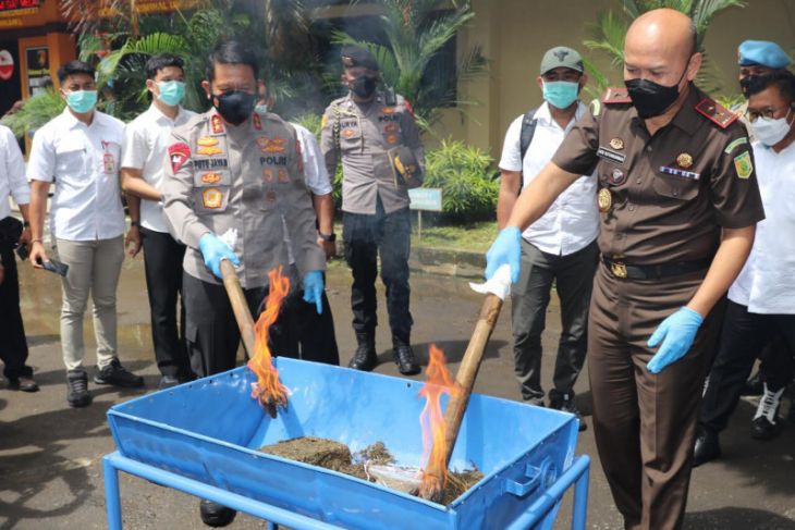 Polda Bali ungkap 818 kasus narkoba