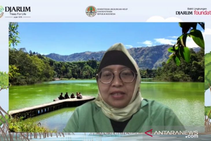 Rehabilitation required for 701,000-ha mangrove areas in Indonesia