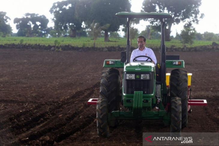 Presiden Jokowi tanam jagung gunakan traktor di Janeponto