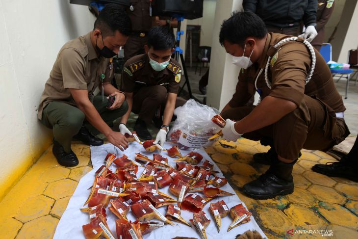 Pemusnahan paruh rangkong gading