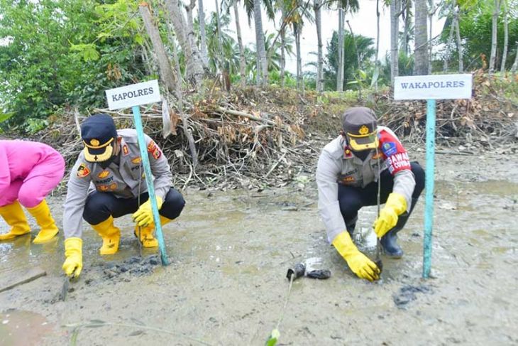Polres Aceh Timur tanam mangrove di sepanjang pesisir pantai