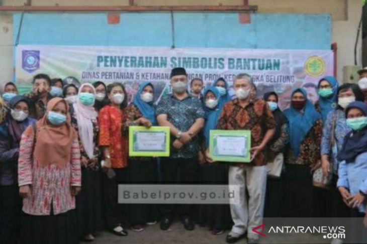 Gubernur Erzaldi: Petani harus mampu cari peluang kembangkan potensi komoditi