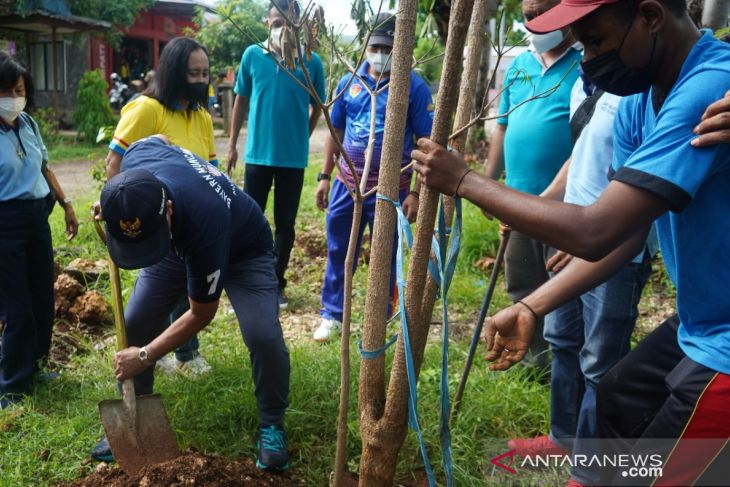 plant a tree it is