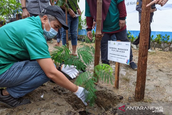 Peringati hari menanam pohon, PLN UIW Aceh tanam 5.500 pohon