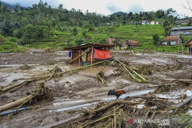 Lahan pertanian rusak diterjang banjir bandang Garut 