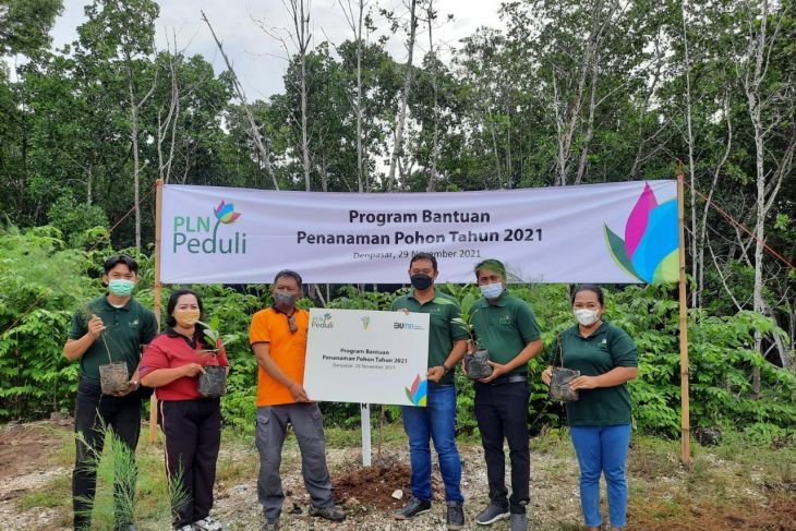PLN Bali Selatan tanam 6.900 bibit pohon dukung RTH