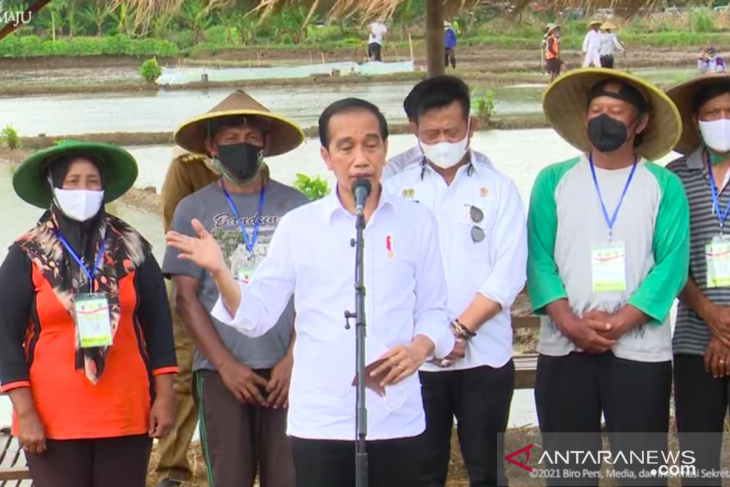 Presiden Jokowi tegaskan Indonesia belum impor beras sama sekali pada 2021