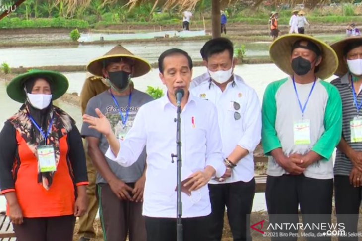 Presiden Jokowi: Indonesia belum impor beras sama sekali pada 2021