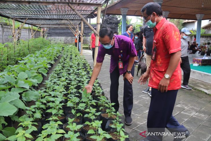 Pemkab Badung tingkatkan minat bertani