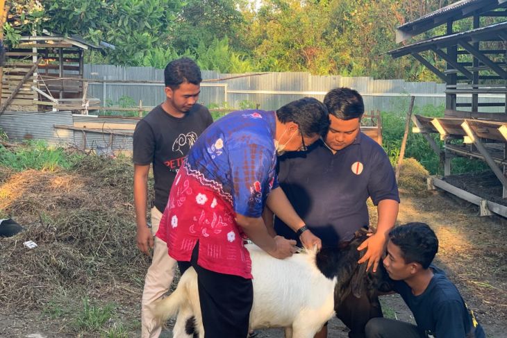 ULM, Adaro provide livestock biosecurity training in Tabalong