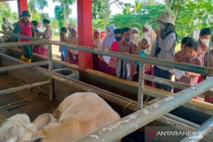 Tumbuhkan minat generasi muda di bidang pertanian, Polbangtan Bogor undang siswa SD belajar lapangan