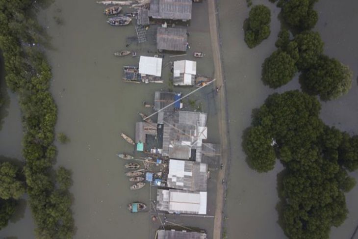 Banjir rob di Muaragembong