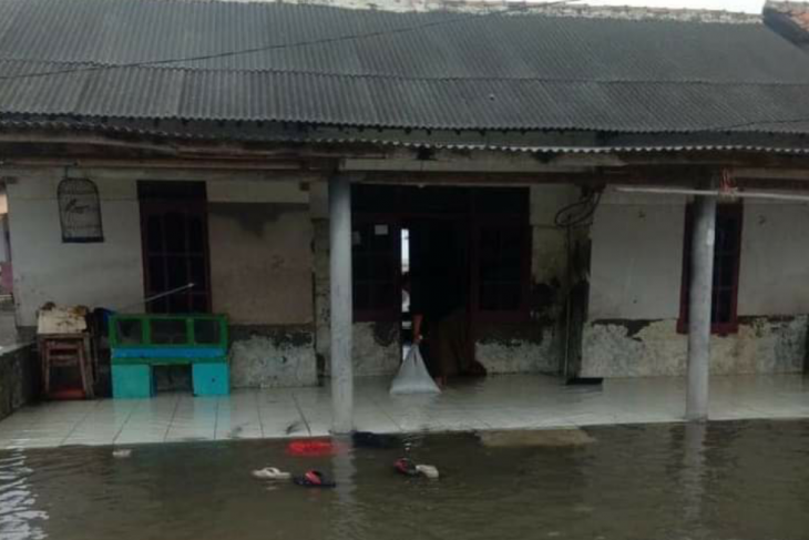 Banjir rob rendam ratusan rumah di pesisir utara Karawang