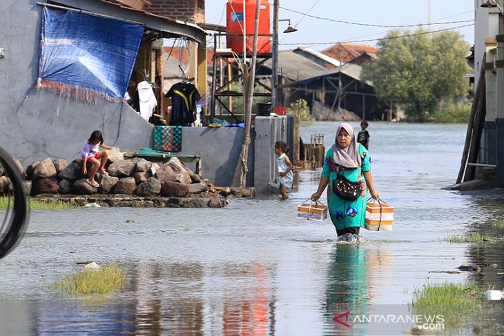 Desa Eretan Wetan empat pekan terendam rob 