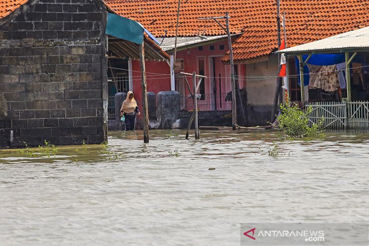 Desa Eretan Wetan empat pekan terendam rob 
