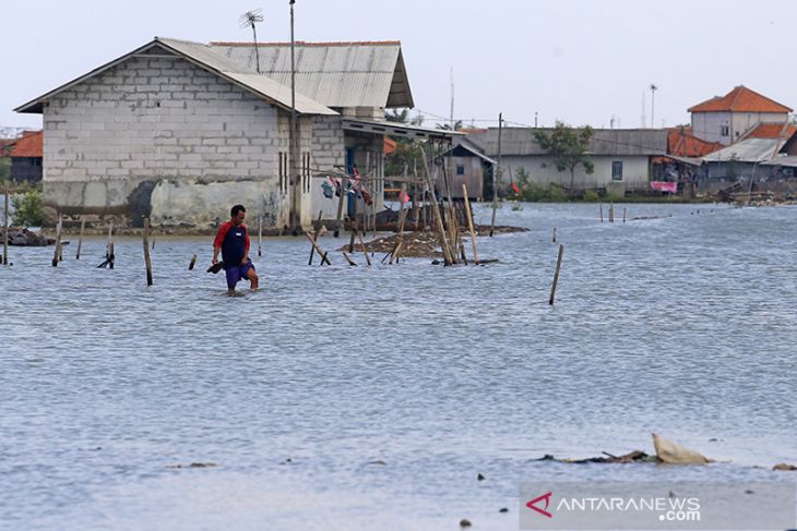 Desa Eretan Wetan empat pekan terendam rob 