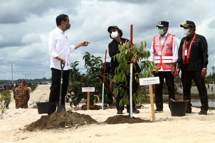 Presiden Menanam Pohon