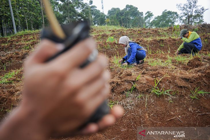 Target penanaman pohon di Jawa Barat 