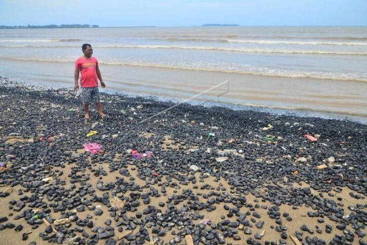 Pantai tercemar batu bara